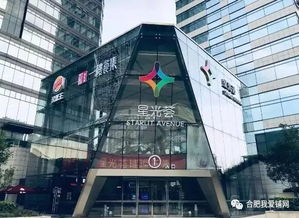 点赞 置地广场星光荟,集十年之力,构建社区商业3.0时代 合肥首个通用机场正式开建