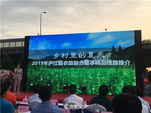 稻虾产业融合发展,助力美丽乡村建设 2019年中国合肥 庐江第二届放马滩龙虾节 合肥专场