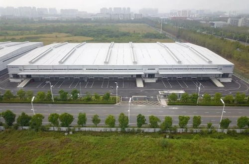 这些国际巨头为何不约而同选择合肥