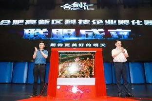 她向总理汇报合肥双创,高新区双创活动精彩纷呈